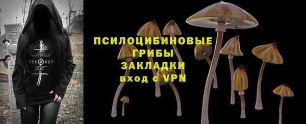 соль ск Балабаново