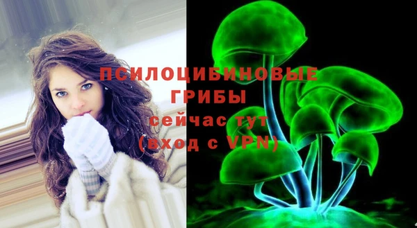 соль ск Балабаново